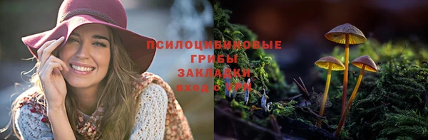 марки lsd Новодвинск