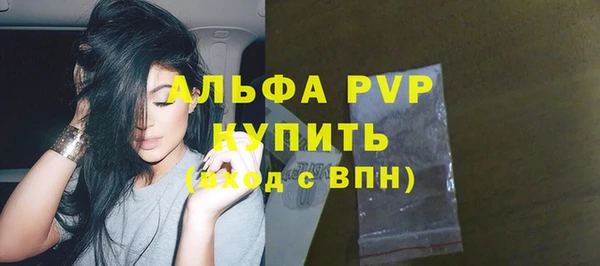 гидра Новозыбков