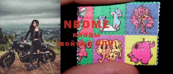 гидра Новозыбков