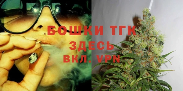 гидра Бежецк