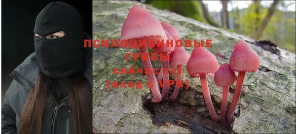мескалин Нефтегорск