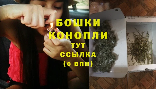 гидра Новозыбков