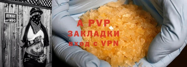 гидра Новозыбков