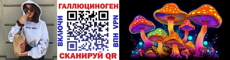 где купить наркоту  Козельск  ОМГ ОМГ зеркало  Псилоцибиновые грибы Magic Shrooms 